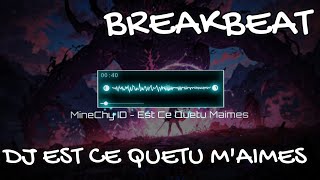 MineChyID  EST CE QUETU MAIMES BREAKBEAT MIXTAPE V2 [upl. by Idurt]