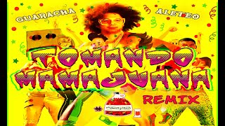 Tomando Mamajuana Guaracha Remix Audio [upl. by Tella]