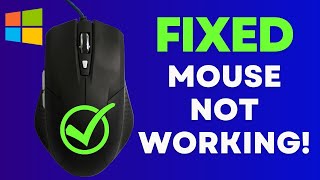 Exclusive Guide to Solving Mouse and Trackpad Issues in Windows 10 Windows11 [upl. by Helga230]