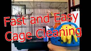 Cleaning Your Parakeets Cage Fast and Easy [upl. by Grath592]