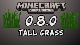 Minecraft Pocket Edition 090080 Tall Grass  Moving Backgrounds [upl. by Wallache]