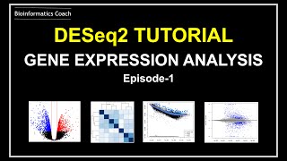 How I analyze RNA Seq Gene Expression data using DESeq2 [upl. by Jaquenette]