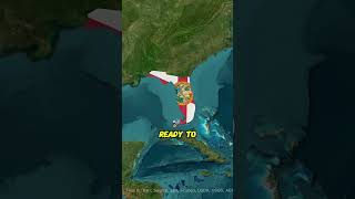 State With Most Doctor illinois newyork california florida texas youtubeshorts reels [upl. by Arty793]