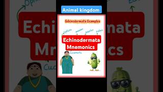 Mnemonics Echinodermata biology neet2025 neet25 neetexam neetpreparation [upl. by Nhguavaj]