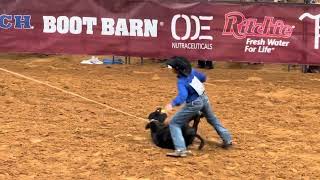 Calf roping at the 2024 jr American in Ft worth Texas [upl. by Adnohsar]