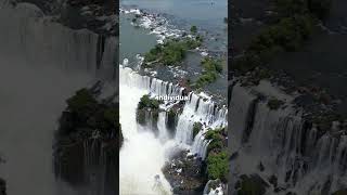 Iguazu Falls The World’s Most Powerful Waterfall 🌍💦 IguazuFalls travel explore facts [upl. by Semaj594]