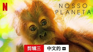 我们的星球 第一部剪辑三配有字幕  中文的預告片  Netflix [upl. by Pate]