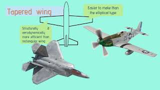 Five Types of Wing Planform Rectangular Taper Elliptical Swept back Delta wing  aerospace [upl. by Bechler100]