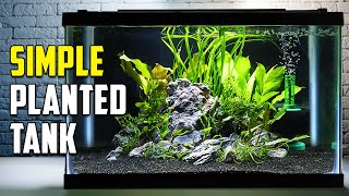 How To Build A Beautiful Planted Tank For Fish Easy [upl. by Maurer]