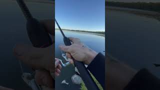 Fishing fishing minnesota fishinglife fisherman fishingtiktoks fishcontent fish mn [upl. by Amol]