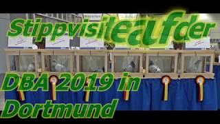 flying visit Stippvisite auf der DBA in Dortmund 2019 [upl. by Annawot]