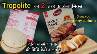 Tropolite 2 तरह का Cake Mix से स्पंज बनाना सीखेCake Premix Sponge RecipeFood And Recipe [upl. by Sreip]