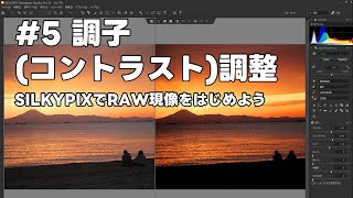 SILKYPIXでRAW現像をはじめよう 5 コントラスト 調子 調整 [upl. by Erme]