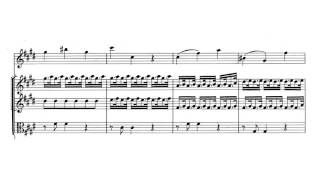 Violin Concerto quotSpring  La Primaveraquot in E major Op 8 No 1  Vivaldi Score [upl. by Erbes]