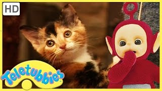 Teletubbies Full Episode  Kittens ★ Episode 182  HD [upl. by Ehcropal923]