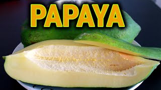 Papaya Meyvesi Nasıl Yenir [upl. by Wolgast]