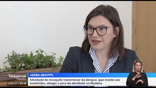 Atividade do Mosquito Aedes aegytpi  Telejornal RTP Madeira 27102024 [upl. by Monto647]