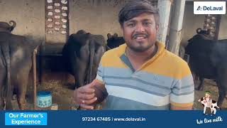 DeLaval Buffalo Milking Machine Experience in Gujarat [upl. by Oringas]