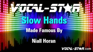 Niall Horan  Slow Hands Karaoke Version with Lyrics HD VocalStar Karaoke [upl. by Nylasor851]