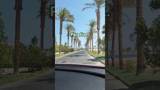 Egypt  pyramids and sandnot 😁🌞😎🧳egipat egypt vacationmode paradise [upl. by Jair]