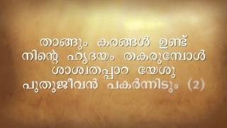 Thangum Karangal Undu  Instrumental  Malayalam Christian Song [upl. by Streetman]