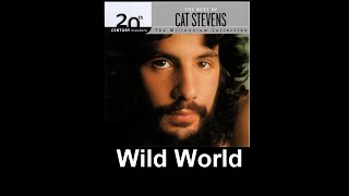 Wild World acoustic Cat Stevens cover  Mike Masse and Jeff Hall [upl. by Uria]