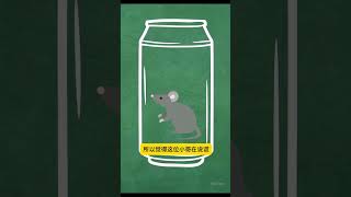 Was there a mouse in the drink   Have you tried itshortvideo story [upl. by Alracal805]