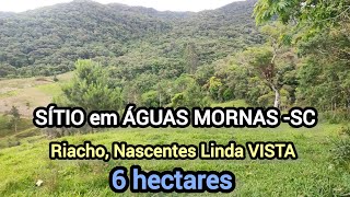 SÍTIO ÁGUAS MORNAS  SC COM RIACHO nascentes 60 metros ÓTIMO PREÇO R 60000000 [upl. by Anoli]