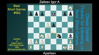 Apartsev vs Zaitsev Igor A Best Short Games 562 [upl. by Ithaman]