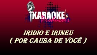 IRIDIO E IRINEU  POR CAUSA DE VOCÊ  KARAOKE [upl. by Eseekram]