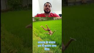 धान कूद गया तलब समाज कर trending funny lovesong comedy romanticmusic upsc iasmotivation [upl. by Stronski335]