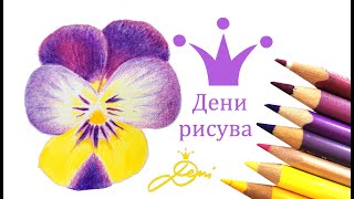 Рисувай Теменужка с Дени 💜 рисунка на цвете с цветни моливи 💜🌸 Как да се научим да рисуваме [upl. by Nylessej428]