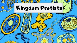 Kingdom of Protista [upl. by Aynotel]