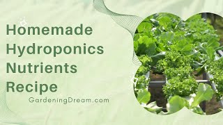 Homemade Hydroponics Nutrients Recipe [upl. by Merna]