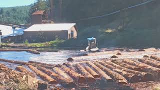 Hull Oaks Log Pond and Lumber Mill Oregon [upl. by Goldston]