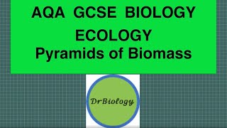 Food Chains  Autotrophs and Heterotrophs [upl. by Justino140]