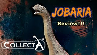 Collecta quotDeluxequot Jobaria Review [upl. by Anaujik130]