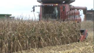 Geringhoff Folding Rota Disc at the Husker Harvest Days field demo [upl. by Naened]