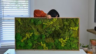 My First Preserved Moss Wall Piece And the Ugliest Green color EVER [upl. by Patsy]