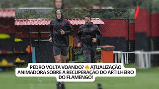 PEDRO VOLTA VOANDO 🔥 Atualização ANIMADORA sobre a RECUPERAÇÃO do Artilheiro do Flamengo [upl. by Dorri]