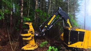 Tigercat LX830D Feller Buncher in Oregon [upl. by Yrram]