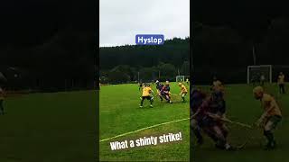 shinty camanachd what a goal glengarry strathstrong strathglass matt jones 🎥 [upl. by Malita]