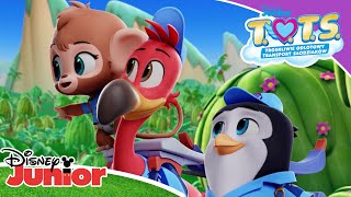 ⛅ Nieco małpi interes  TOTS  Disney Junior Polska [upl. by Veljkov]