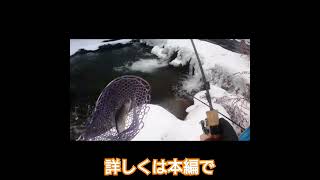 【2024年渓流釣り解禁日】尺ヤマメヒットシーン 釣り fishing 渓流釣り 渓流ルアー ルアーフィッシング トラウトフィッシング ヤマメ 尺ヤマメ 解禁日 [upl. by Notwal]