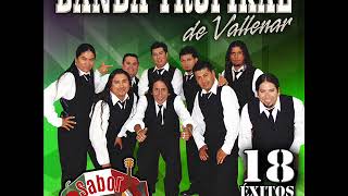 El Tizón  Banda Tropikal de Vallenar  Master Media Ltda [upl. by Jona]