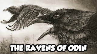 Odins Mythical Ravens  Huginn and Muninn Norse Mythology Explained [upl. by Llerot]