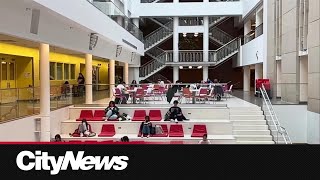 UCalgary students frustrated by unreliable campus WiFi [upl. by Yahsed]