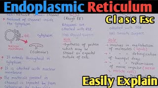 Endoplasmic Reticulum Structure And Functions  Class 11 Biology [upl. by Anattar672]