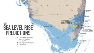 Miami may be underwater by 2100 [upl. by Ronn]