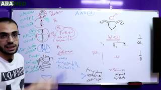 فيزيولوجيا الجهاز العصبي الذاتي 3  Physiology of Autonomic Nervous System [upl. by Howard]